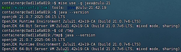 mise 全局调用 java 示例