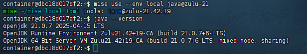 mise 局部调用 java 示例